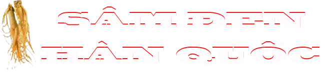 Sâm Đen Hàn Quốc Sâm Đen Hàn Quốc